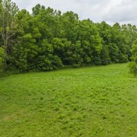 East Tennnesse Hunting Property for Sale Hawkins County images 3
