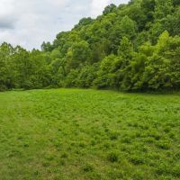 East Tennnesse Hunting Property for Sale Hawkins County images 4
