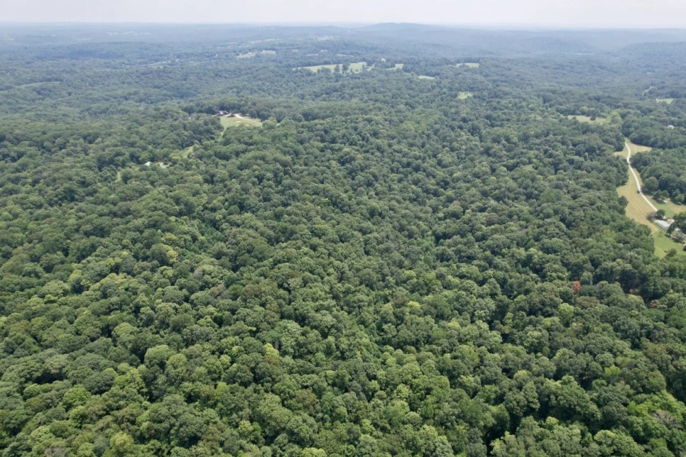 stunning 31 acres in Jackson County IL. featured image
