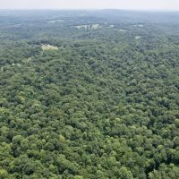 stunning 31 acres in Jackson County IL.