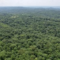 stunning 31 acres in Jackson County IL. images 2