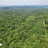 stunning 31 acres in Jackson County IL. images 5