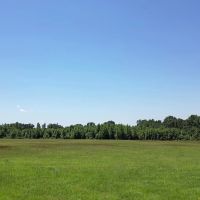 40.33 Acres Undeveloped Land De Kalb TX Bowie County