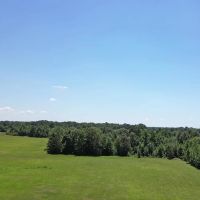 40.33 Acres Undeveloped Land De Kalb TX Bowie County images 2