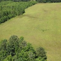 40.33 Acres Undeveloped Land De Kalb TX Bowie County images 3