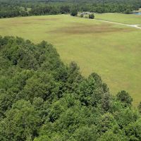 40.33 Acres Undeveloped Land De Kalb TX Bowie County images 4