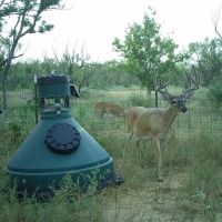 Meyers Creek Ranch images 4