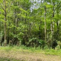 31 Acres Centerville Rd images 2