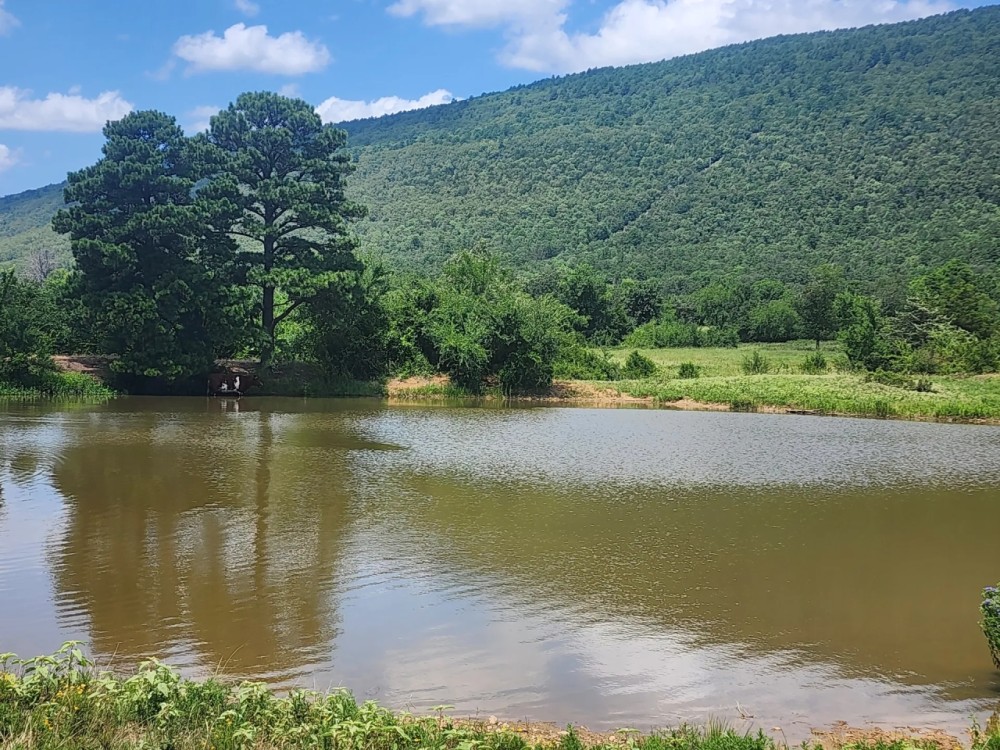 Buffalo Valley acreage featured image