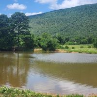 Buffalo Valley acreage