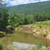 Buffalo Valley acreage images 4