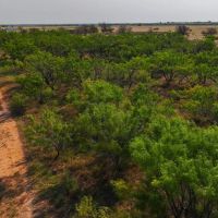 Limestone Ranch images 2