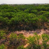 Limestone Ranch images 4
