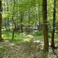 - 52.72 Acres on Woodall Mountain Road in Pickens SC