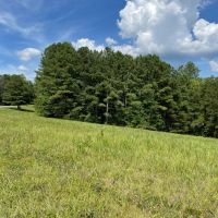 - 8.27 Acres on Woodall Mountain Road in Pickens SC images 4