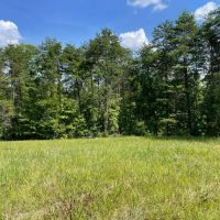 - 8.27 Acres on Woodall Mountain Road in Pickens SC images 5