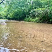 10 Acres Recreational Residential Land in Pittsylvania County VA images 2