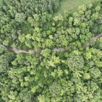 10 Acres Recreational Residential Land in Pittsylvania County VA images 3