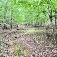 10 Acres Recreational Residential Land in Pittsylvania County VA images 5
