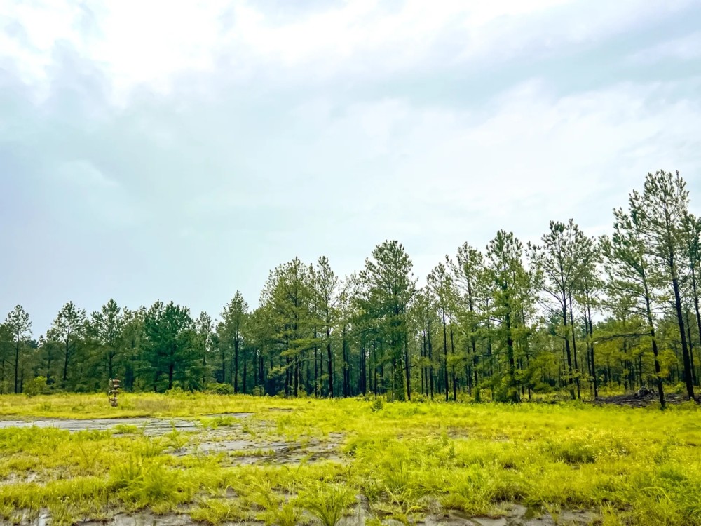 111 Acres CR 257 CR 258 featured image
