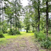 03-047-acres-of-grace