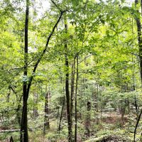 03-047-acres-of-grace images 3