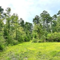 03-047-acres-of-grace images 4