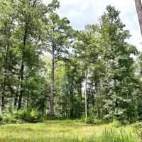 03-047-acres-of-grace images 5