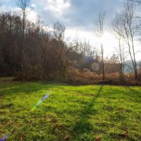 713 off Sugar Tree Branch Rd images 3