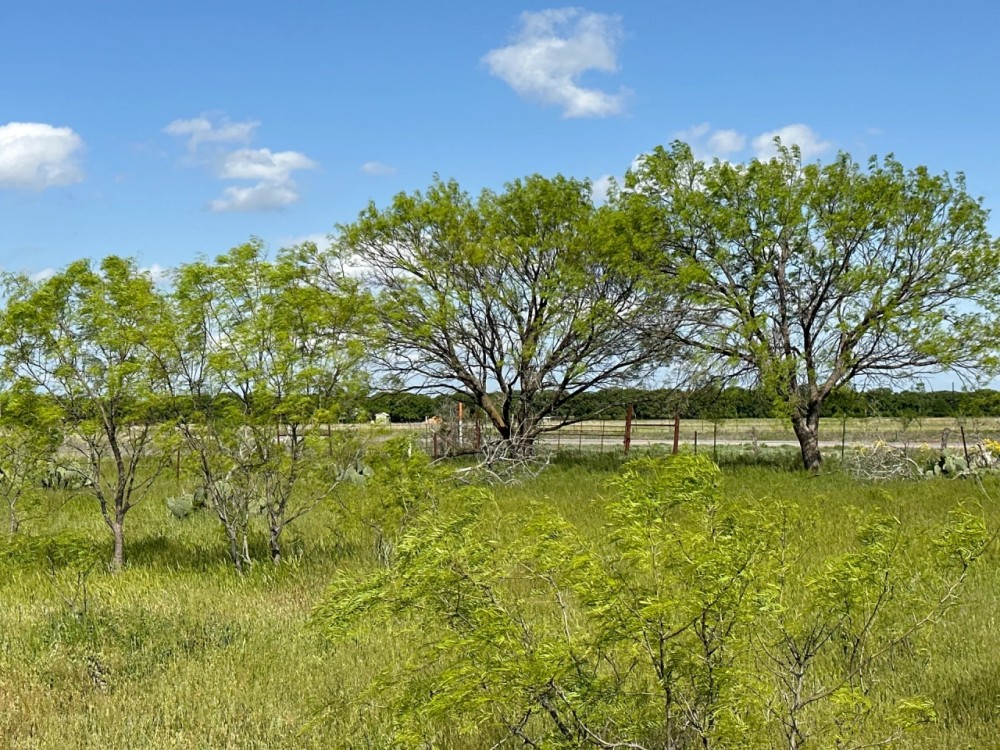 New Listing 11 Acres Eastland County featured image