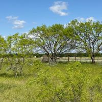 New Listing 11 Acres Eastland County