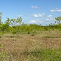 New Listing 11 Acres Eastland County images 2