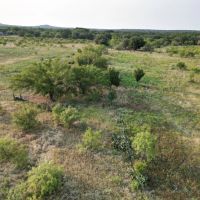 New Listing 11 Acres Eastland County images 5