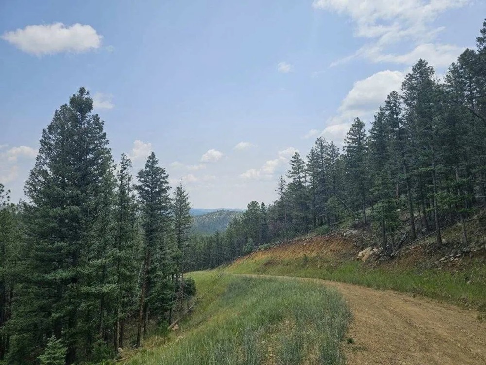 52 San Pablo Canyon Ranches featured image