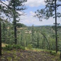 52 San Pablo Canyon Ranches images 5