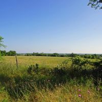 219 ac Sala Ranch on Darrs Creek in Holland TX images 5