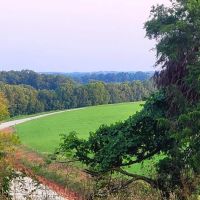 Great build location or Investment images 2