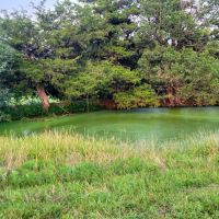 Great build location or Investment images 4