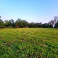 Great build location or Investment images 5