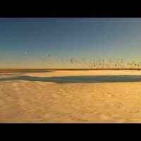 Webster WMA - 8,018 Acres of land for Hunting Deer in Rooks, KS