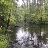 Land For Sale in Clay County IN 20 Acres - images 2