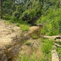 Land For Sale in Clay County IN 20 Acres - images 3