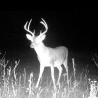 21.21 Acres in Washington County MS images 2