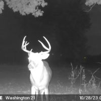 21.21 Acres in Washington County MS images 3