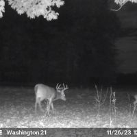 21.21 Acres in Washington County MS images 4
