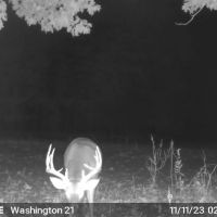 21.21 Acres in Washington County MS images 5