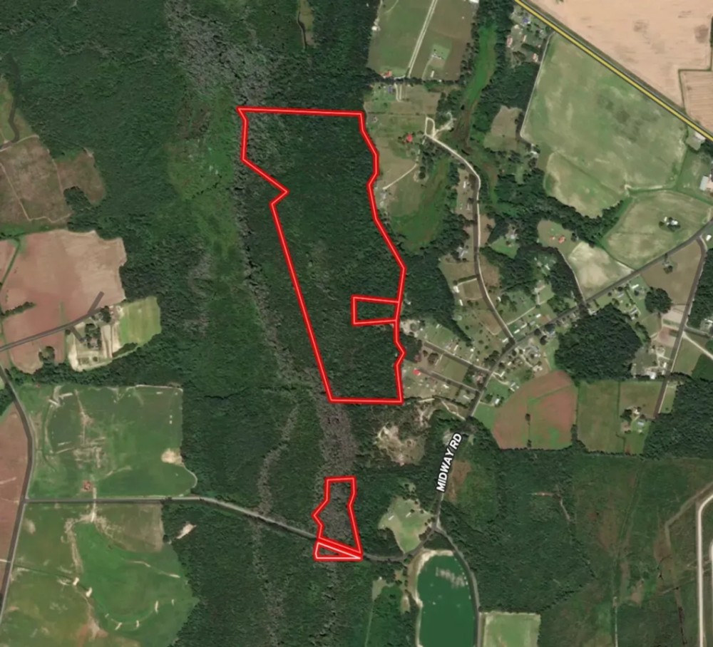 ONLINE AUCTION - 115.32 acres of Hunting and Land For Sale in Robeson County NC featured image