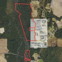 ONLINE AUCTION - 115.32 acres of Hunting and Land For Sale in Robeson County NC images 2