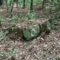 29.3 Acres in Carroll County in West MS images 3