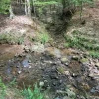 29.3 Acres in Carroll County in West MS images 4
